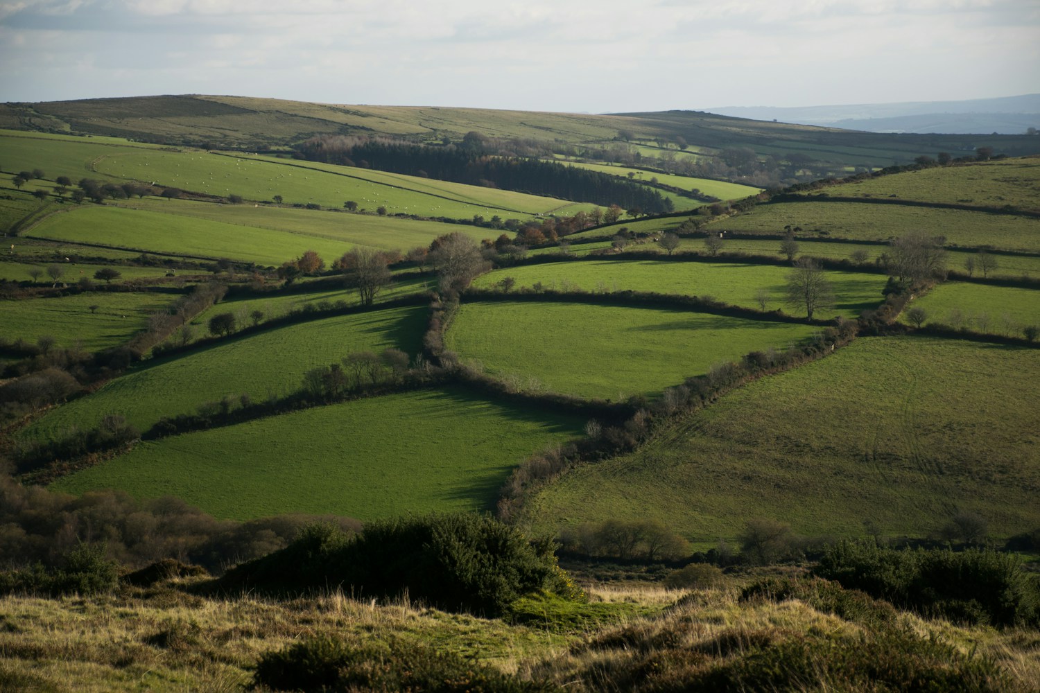 Rolling fields in the English countryside